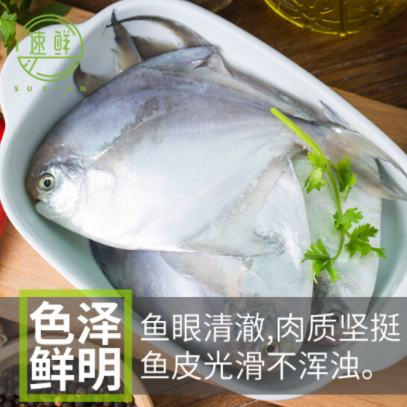39元包邮！冷冻新鲜小平鱼银鲳鱼 2.5kg