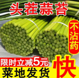 14.9元包邮！金壑 2021年新鲜河南现摘蒜苔 5斤