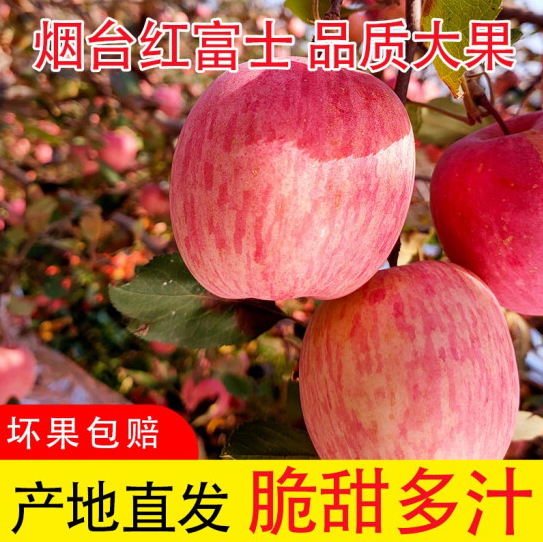  7.9包邮！山东烟台红富士苹果3斤