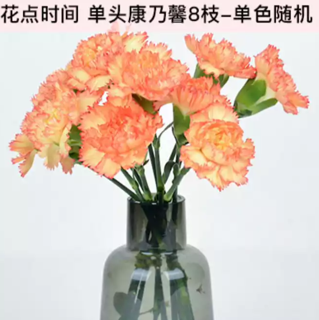 9.9元包邮！花点时间 康乃馨花束单色8支