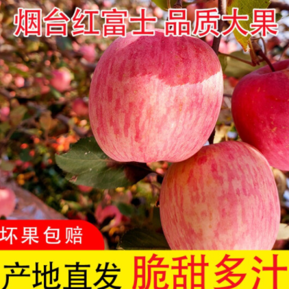 7.9元包邮！山东烟台红富士苹果3斤