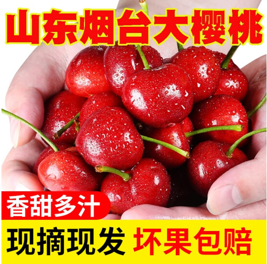 【京喜攻略】49元包邮！山东大樱桃 果径24-26mm 5斤