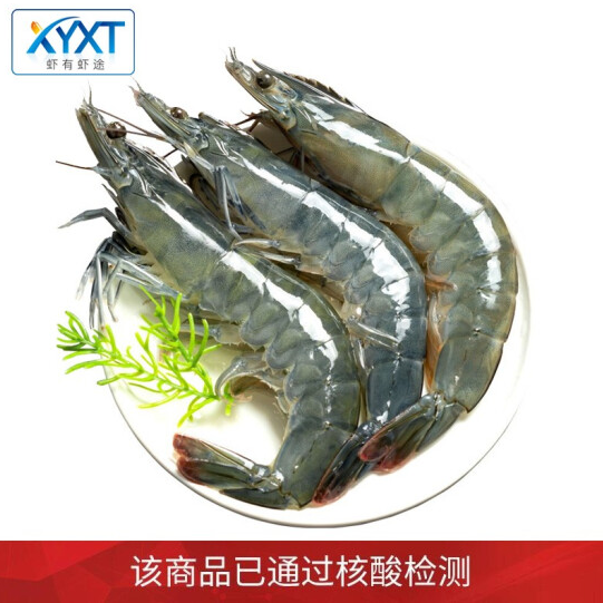【预售】49元！虾有虾途 国产青岛大虾 4斤装