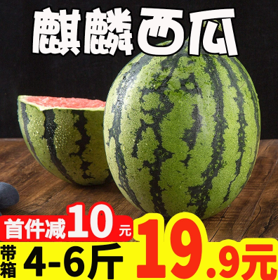 7.9元包邮！8424麒麟小西瓜 4-6斤