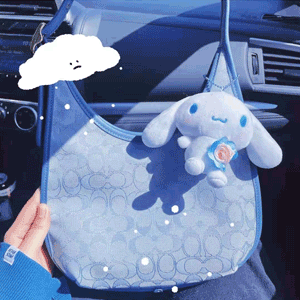 蓝色补货!COACH蔻驰Ergo Signature月牙包 蓝色补货!COACH蔻驰Ergo Signature月牙包