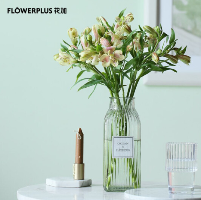 5.9元包邮！花加 单品鲜花 六出花（水仙百合）10枝