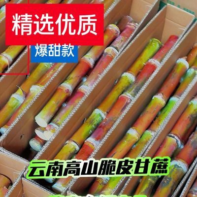 PDD热销产品汇总08点档更新2026/05/02