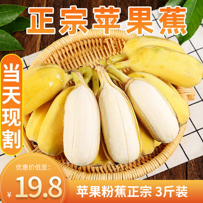 【果园直发】正宗苹果蕉3斤