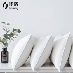 29.9元包邮！佳佰 星级酒店羽丝绒枕芯 可水洗枕一对装 40*60cm