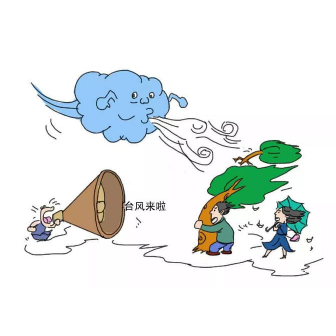 预防台风安全小常识！