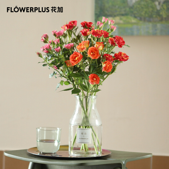 【七夕节礼物】9.9元包邮！FlowerPlus 优选 随机多头玫瑰5枝