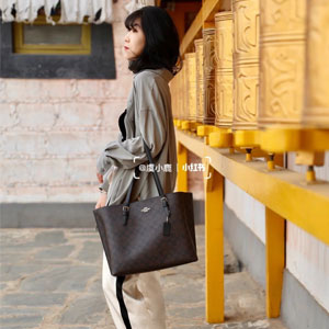 Coach Mollie 蔻驰Mollie 25老花托特包 Coach Mollie 蔻驰Mollie 25老花托特包