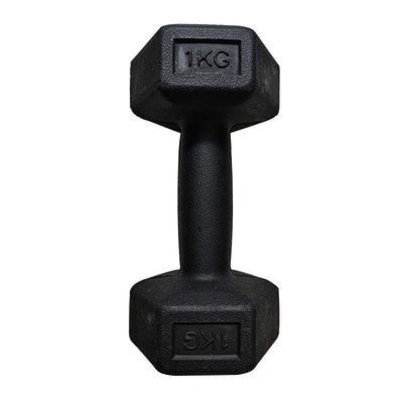 【可签到】健身六角哑铃1KG