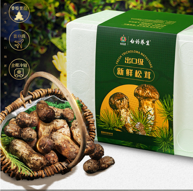 220.5元包邮！云南白药 云南特产 鲜松茸菌菇（7cm以上） 礼盒装 500g