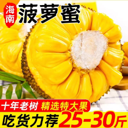 52元包邮！南业果（NANYEGUO）海南三亚菠萝蜜 整个 20-25斤