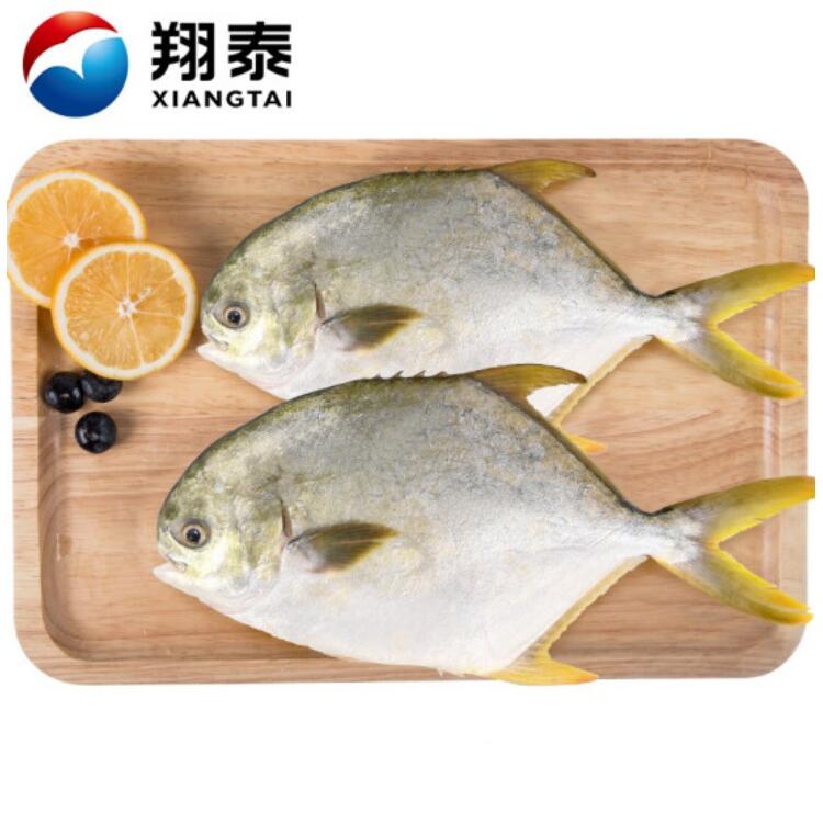 14.9元包邮！翔泰 冷冻无公害国产金鲳鱼700g