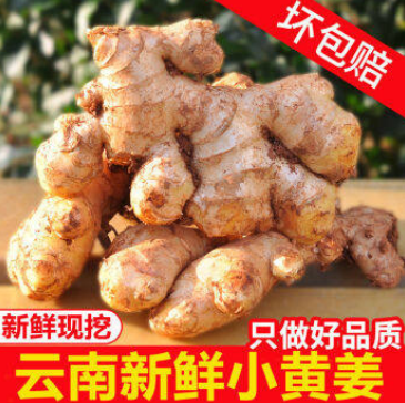 11.9元包邮！3斤云南小黄姜现挖现发