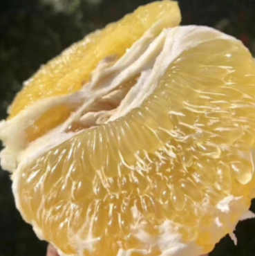 25.9元包邮！百果精 现摘花皮葡萄柚 9斤装 
