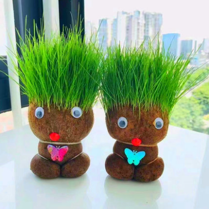 7.8元包邮！迷你防辐射草头娃娃带盆