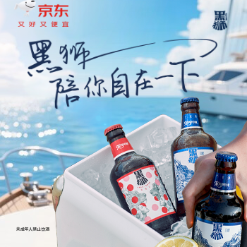 京东 黑狮啤酒自营旗舰店 下单满额拿露营周边
