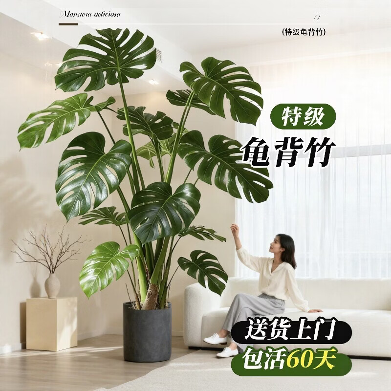 J东热销产品汇总20点档更新2026/04/24