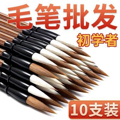 PDD热销产品汇总02点档更新2026/01/29