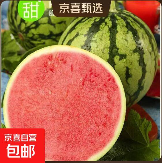 原产地直发！京喜麒麟西瓜带箱5-6斤仅需9.9元