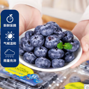  47.34元包邮！姬幻新鲜蓝莓  125g*6盒 单果10-12mm