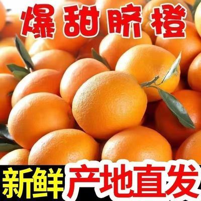 PDD热销产品汇总20点档更新2026/01/17