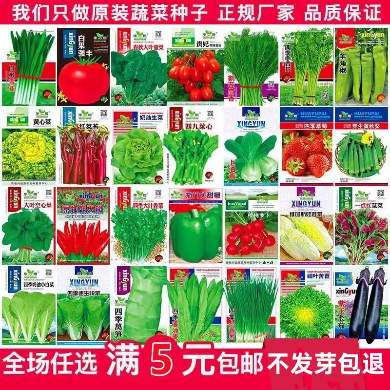 番茄甜瓜黄瓜蔬菜种子12种