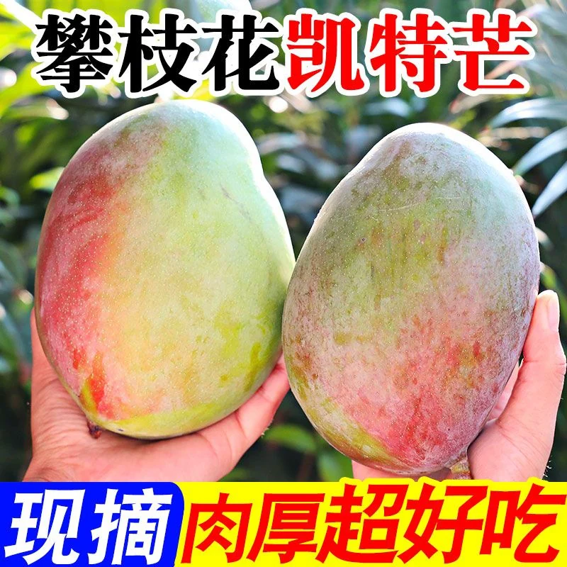 T猫热销产品汇总14点档更新2026/10/05