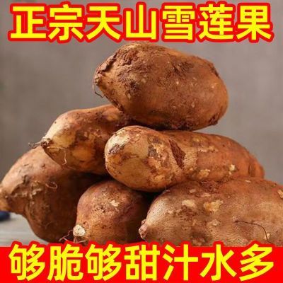 PDD热销产品汇总14点档更新2026/01/16