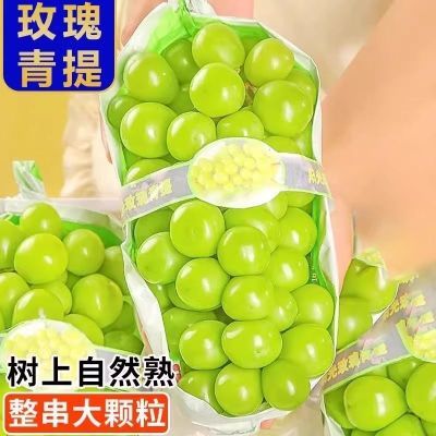 PDD热销产品汇总14点档更新2024/09/28