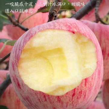 13.93元包邮！陕西脆甜高山冰糖心红富士5斤