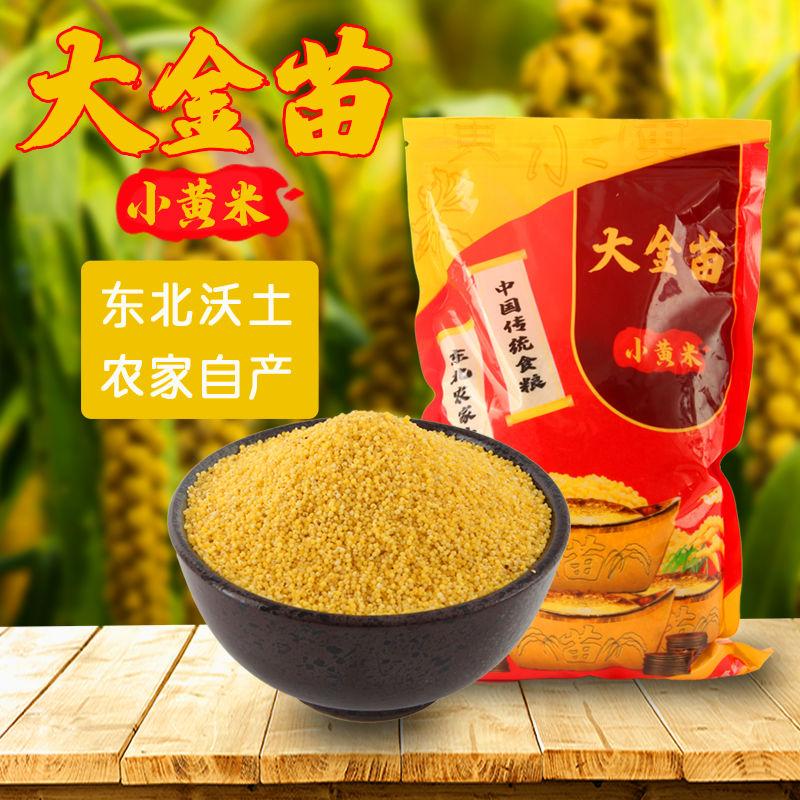 【发4斤】吉林新鲜大金苗黄小米