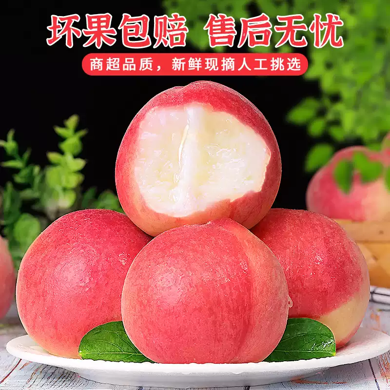 新鲜水蜜桃现摘毛桃蜜桃脆桃宝宝孕妇水果脆甜桃子天水产地鲜水果