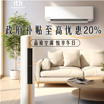 京东 品牌特卖 政府补贴享8折
