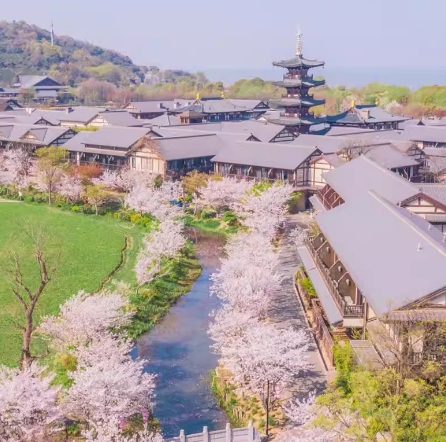 樱花季必囤！拈花湾 2 天 1 晚度假套餐仅需 499 元