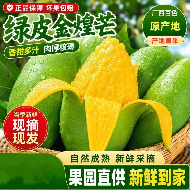 食悦果金煌芒4.5斤