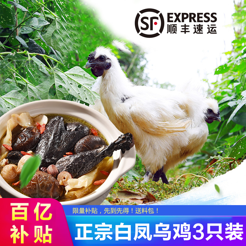 优先发货 小憨货 乌鸡 新鲜现杀月子鸡 