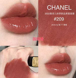 CHANEL ROUGE ALLURE 唇膏 #209 Alter Ego