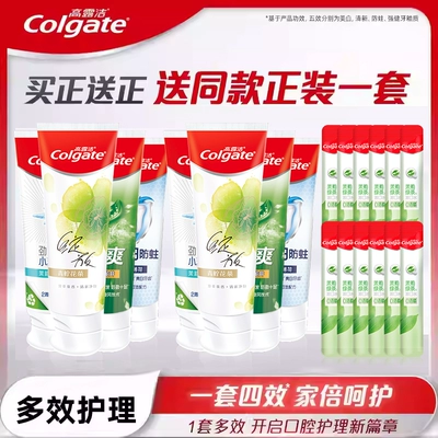 【淘享】高露洁多效护理家庭装含氟牙膏清新口气A