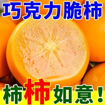 PDD热销产品汇总20点档更新2024/09/28