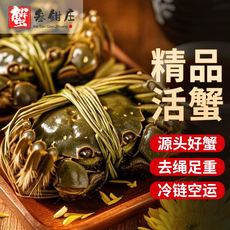 【活蟹】鲜活六月黄大闸蟹河蟹现货螃蟹礼盒官方旗舰店公母随机