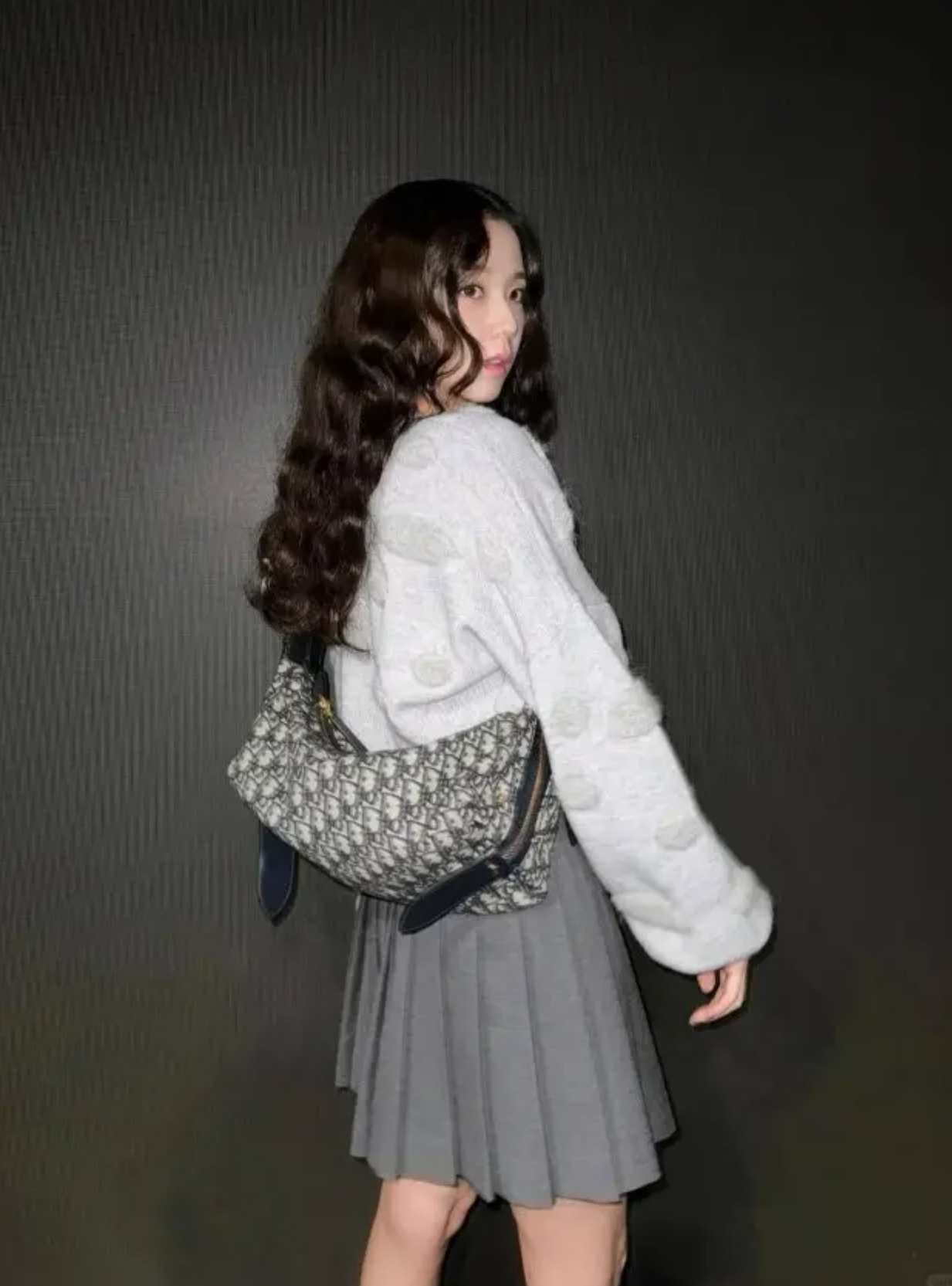 Diorly Bag Detail View