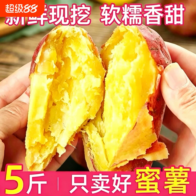 现挖红薯蜜薯4.5斤中大果
