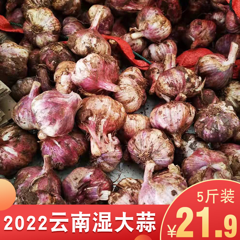 【南阳农特产馆】 湿大蒜 5斤装