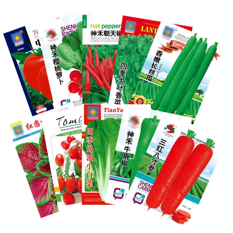 蔬菜种子四季阳台盆栽草莓菜种籽孑
