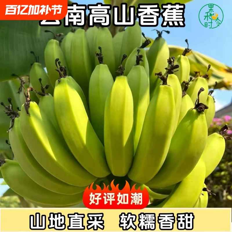 云南高山香蕉绿皮香蕉5斤