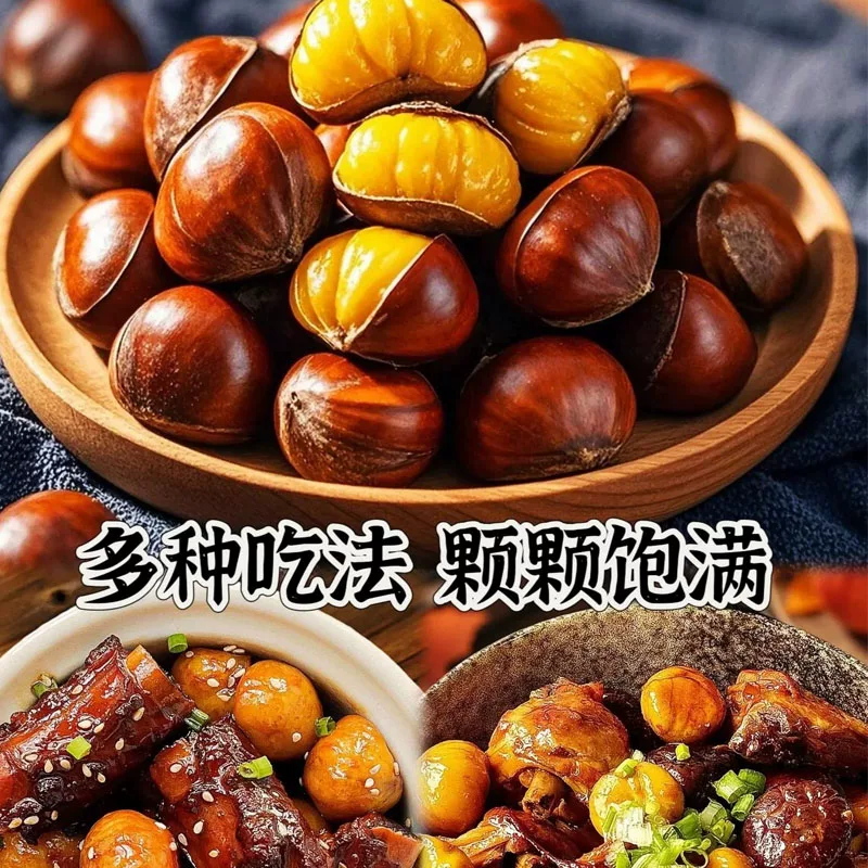 新下树新鲜生辽宁丹东菜板栗栗子新鲜板栗栗仁鲜板栗大板栗产地